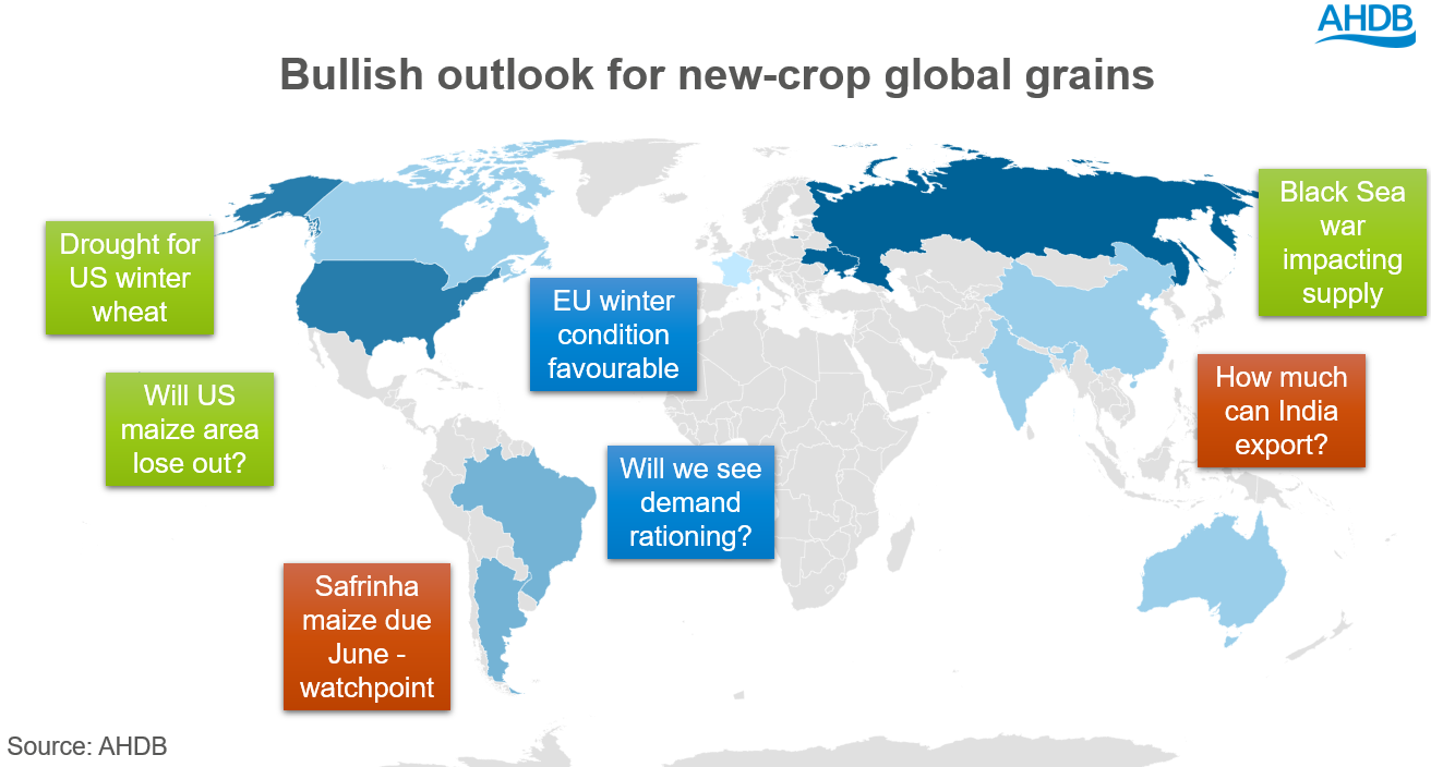 World map showing key watch points for new crop global grains